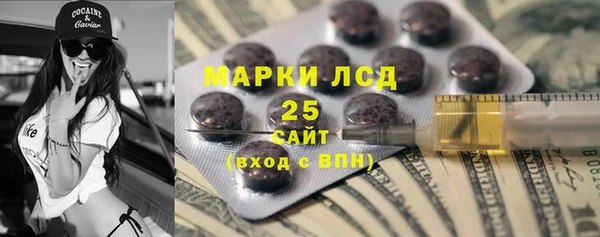 прущие грибы Абаза