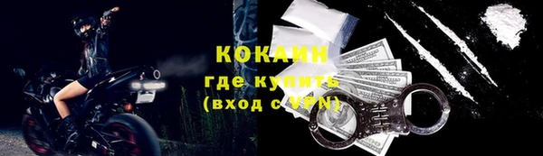 ГАЛЛЮЦИНОГЕННЫЕ ГРИБЫ Арсеньев