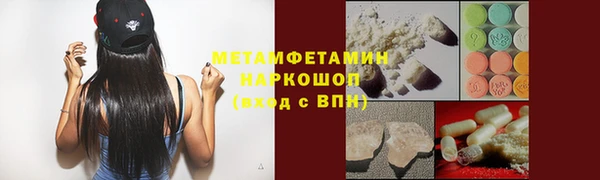гашик Алексин