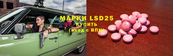 прущие грибы Абаза