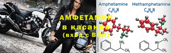 прущие грибы Абаза