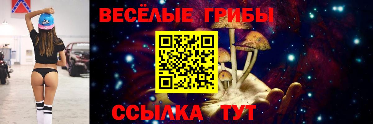 Галлюциногенные грибы Psilocybine cubensis Уфа